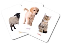 Настольная игра Gama Carti de joc educative. Primele cuvinte • Forme si culori (5948492861448) фото №4 — интернет-магазин Desire.md