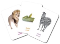 Настольная игра Gama Carti de joc educative. Primele cuvinte • Forme si culori (5948492861448) фото №5 — интернет-магазин Desire.md