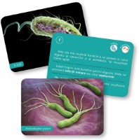 Настольная игра Gama Carti de joc Montessori. Bacterii si virusuri 6-12 ani (9786060561101) фото №3 — интернет-магазин Desire.md