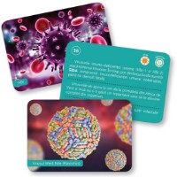 Настольная игра Gama Carti de joc Montessori. Bacterii si virusuri 6-12 ani (9786060561101) фото №4 — интернет-магазин Desire.md