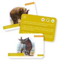 Joc educativ de masa Gama Carti de joc Montessori. Evolutia vietii: Vietuitoare preistorice (9786060563563) imaginea #2 — magazin online Desire.md