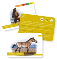 Joc educativ de masa Gama Carti de joc Montessori. Evolutia vietii: Vietuitoare preistorice (9786060563563) imaginea #3 — magazin online Desire.md