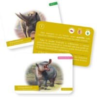 Joc educativ de masa Gama Carti de joc Montessori. Evolutia vietii: Vietuitoare preistorice (9786060563563) imaginea #4 — magazin online Desire.md