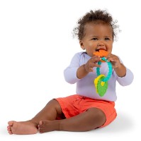 Inel gingival Bright Starts Tropical Chews 3pcs (13078) imaginea #2 — magazin online Desire.md