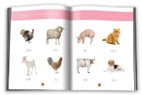 Настольная игра Gama Invat deja animale. 8 mini puzzle-uri. 3+ (9789731498355) фото №3 — интернет-магазин Desire.md