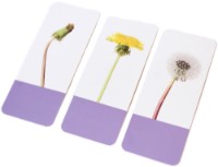 Настольная игра Gama Triopuzzle. Ce urmeaza? (9786060560517) фото №3 — интернет-магазин Desire.md