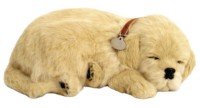 Интерактивная игрушка Perfect Petzzz Golden Retriever 91-02