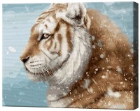 Tablou pe numere Art Gallery Econom Tigru brun GX9641 imaginea #1 — magazin online Desire.md