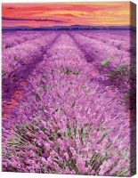 Картина по номерам Art Gallery Econom Лавандовое поле на закате GX32074 фото №1 — интернет-магазин Desire.md