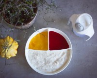 Тарелка с крышкой Twistshake White (78177) фото №2 — интернет-магазин Desire.md