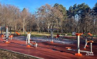 Aparat fitness exterior PlayPark 6FT Fitness Zona imaginea #2 — magazin online Desire.md