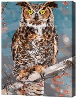 Картина по номерам Art Gallery Econom Филин EX8316 фото №1 — интернет-магазин Desire.md