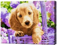 Картина по номерам Art Gallery Econom Щенок в корзинке GX28413 фото №1 — интернет-магазин Desire.md