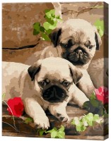 Tablou pe numere Art Gallery Econom Micii mopsi EX6903 imaginea #1 — magazin online Desire.md