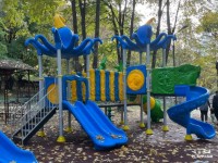 Complex de joacă PlayPark Yuva 03 imaginea #2 — magazin online Desire.md