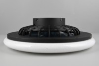 Потолочный вентилятор Trio R62522132 фото №3 — интернет-магазин Desire.md