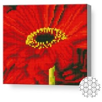 Pictura cu diamante după numere Art Gallery Premium Алая гербера BJ1001