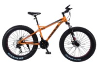 Велосипед Frike Gunsrose Fatbike 24 Orange фото №1 — интернет-магазин Desire.md