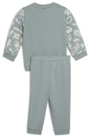 Детский спортивный костюм Puma Minicats Sandy Adventures Crew Set Tr Inf Green Moon, s.74 фото №2 — интернет-магазин Desire.md