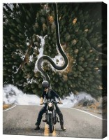 Tablou pe numere Art Gallery Premium În drum GX41169