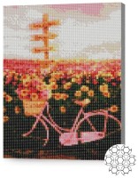 Pictura cu diamante după numere Art Gallery Premium Bicicletă lângă câmpul înflorit XQB84375