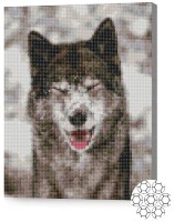 Pictura cu diamante după numere Art Gallery Premium Волк в снегу XQB75582 imaginea #1 — magazin online Desire.md
