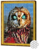 Pictura cu diamante după numere Art Gallery Premium Bufniță cu ochi albaștri GA82012 imaginea #1 — magazin online Desire.md