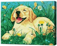 Tablou pe numere Art Gallery Premium Labrador satisfăcut CX3598 imaginea #1 — magazin online Desire.md