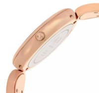 Наручные часы Armani Exchange AX5329 фото №4 — интернет-магазин Desire.md