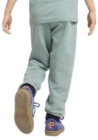 Детские спортивные штаны Puma Sandy Adventures Sweatpants Terry Ps Green Moon, s.110 фото №4 — интернет-магазин Desire.md