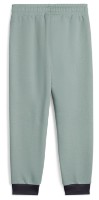 Детские спортивные штаны Puma Sandy Adventures Sweatpants Terry Ps Green Moon, s.116 фото №2 — интернет-магазин Desire.md