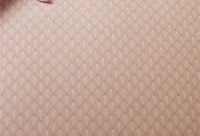 Cearşaf Pip Studio Scala Coral 180x200 (256335) imaginea #2 — magazin online Desire.md