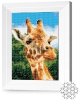 Алмазная картина по номерам Art Gallery Premium Жираф JS27678 фото №1 — интернет-магазин Desire.md