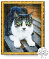 Pictura cu diamante după numere Art Gallery Premium Pisică cu ochi verzi GA82908