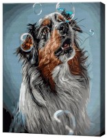 Картина по номерам Art Gallery Premium Игра с пузырями GX42383 фото №1 — интернет-магазин Desire.md