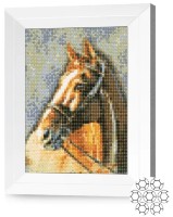 Алмазная картина по номерам Art Gallery Premium Коричневый конь JS27672 фото №1 — интернет-магазин Desire.md
