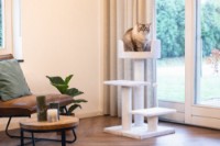 Ansamblu pentru pisici Beeztees Serpa White (408819) imaginea #5 — magazin online Desire.md