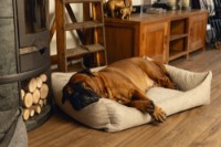 Лежак для собак и кошек Beeztees Zia (716182) фото №2 — интернет-магазин Desire.md