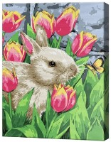 Картина по номерам Art Gallery Premium Кролик среди тюльпанов EX7615 фото №1 — интернет-магазин Desire.md