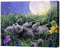 Tablou pe numere Art Gallery Premium Iepurași în câmp înflorit GX9525 imaginea #1 — magazin online Desire.md