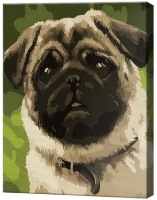 Tablou pe numere Art Gallery Premium Mops drăguț CX3704