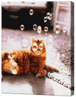 Tablou pe numere Art Gallery Premium Bule de săpun GX31140