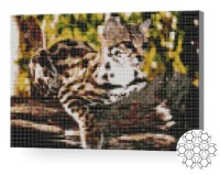 Pictura cu diamante după numere Art Gallery Premium Ocelot XQB76321