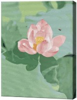 Tablou pe numere Art Gallery Premium Crin delicat EX7895