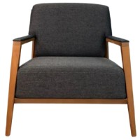 Кресло Dogtas Logan 3120007242 2032/6678/1722 фото №1 — интернет-магазин Desire.md