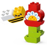 Конструктор Lego Duplo: Creative Garden & Flowers (10444) фото №2 — интернет-магазин Desire.md