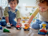 Set de construcție Lego Duplo: F1 Team Race Cars & Drivers (10445) imaginea #6 — magazin online Desire.md