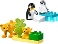 Конструктор Lego Duplo: Wild Animal Families: Penguins & Lions (10442)