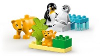 Конструктор Lego Duplo: Wild Animal Families: Penguins & Lions (10442) фото №2 — интернет-магазин Desire.md