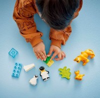 Конструктор Lego Duplo: Wild Animal Families: Penguins & Lions (10442) фото №6 — интернет-магазин Desire.md